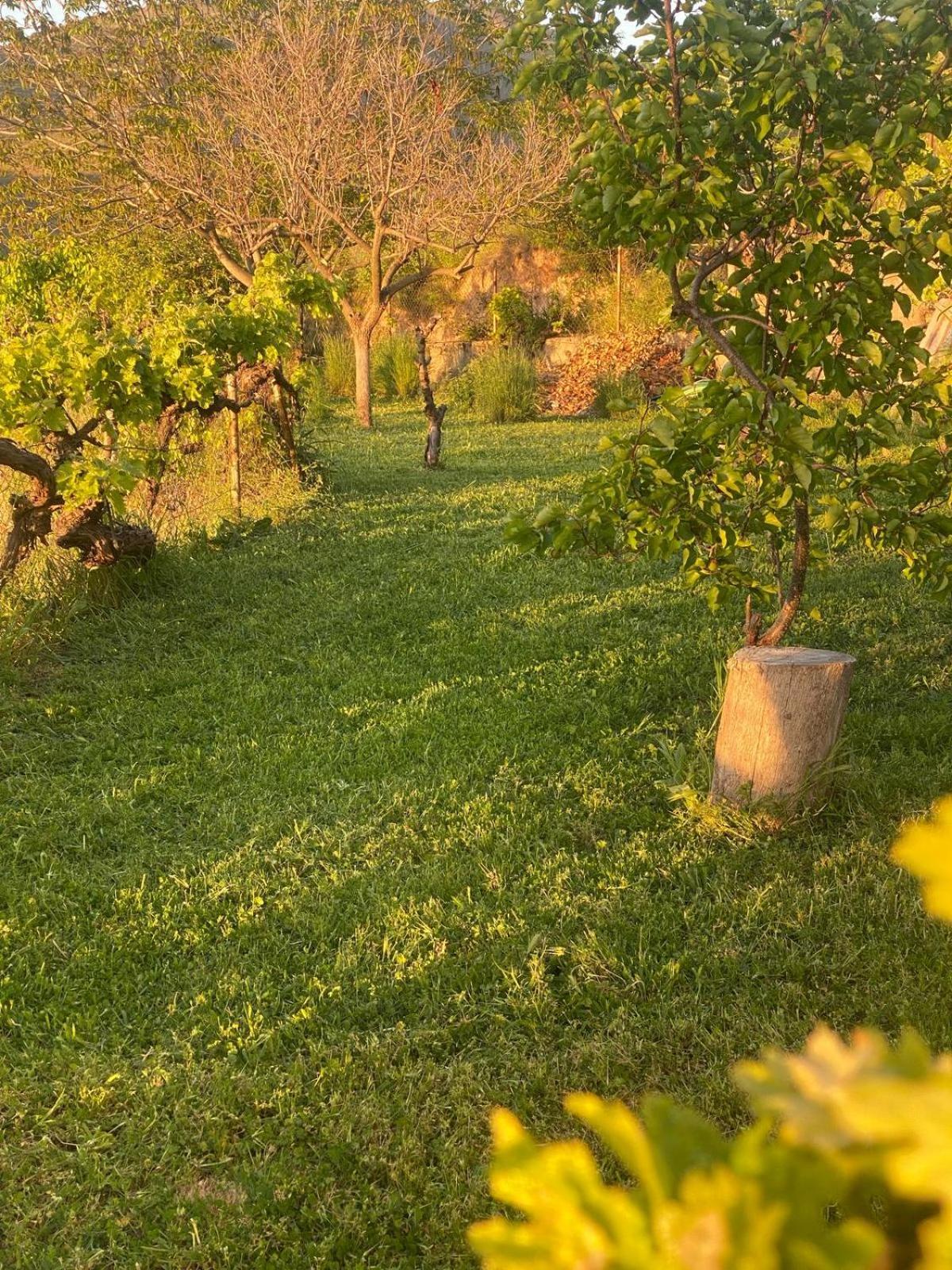 Casa Rural Balcon De Monachil Eksteriør billede