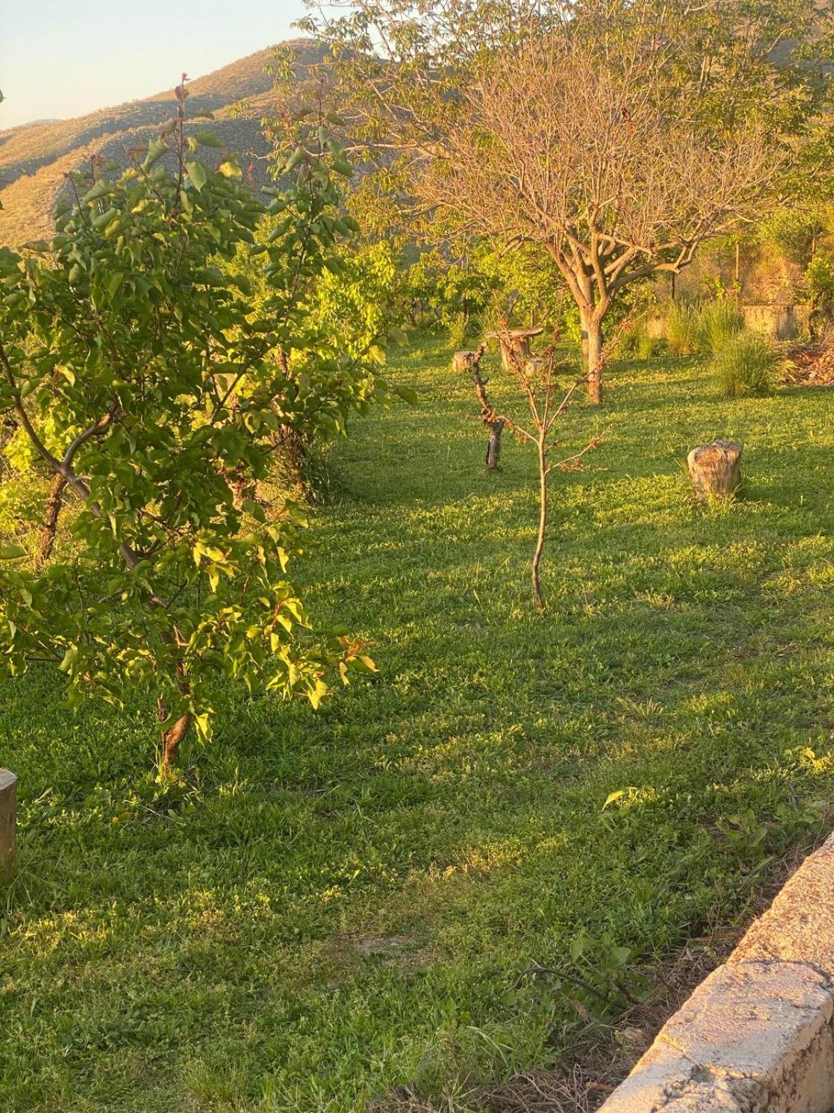 Casa Rural Balcon De Monachil Eksteriør billede